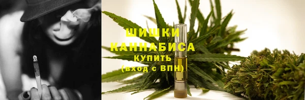 молекула духа Медногорск