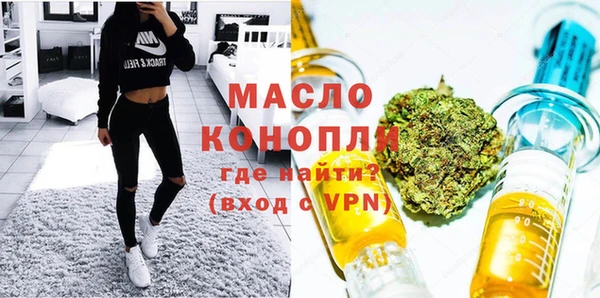 молекула духа Медногорск