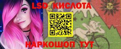 mdpv Гатчина
