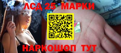 шишки Абакан