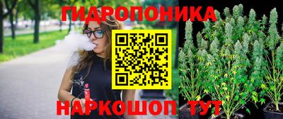 шишки Абакан