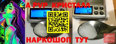 шишки Абакан