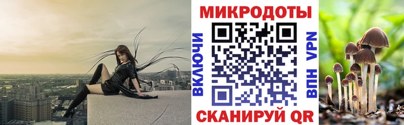 Галлюциногенные грибы Cubensis  Амурск 