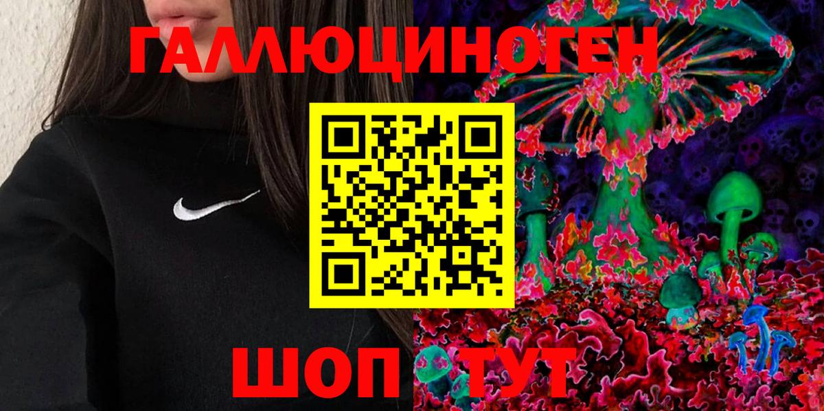 Амурск  купить закладку  Вход с VPN  Псилоцибиновые грибы мицелий 