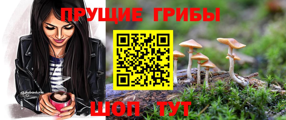 Псилоцибиновые грибы MAGIC MUSHROOMS Амурск