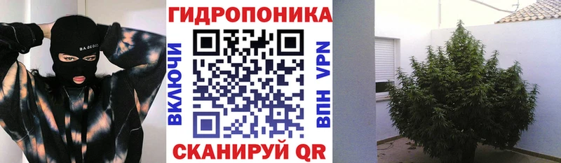 Конопля OG Kush Амурск